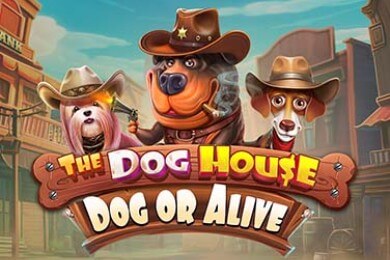 Слот Thedoghousedogoralive Олимпус Плей Казино